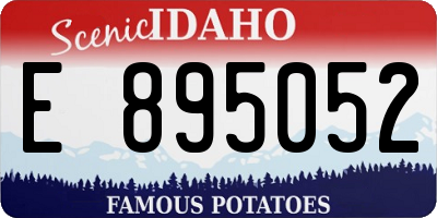 ID license plate E895052