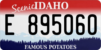 ID license plate E895060