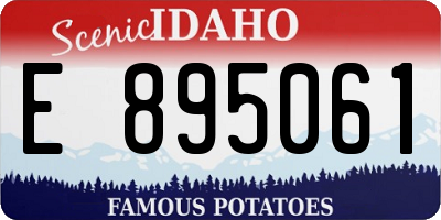 ID license plate E895061