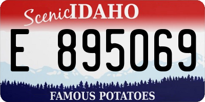 ID license plate E895069
