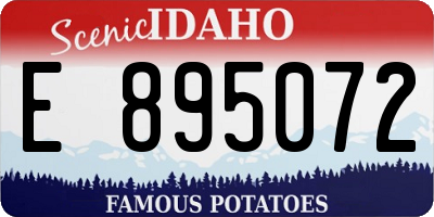 ID license plate E895072