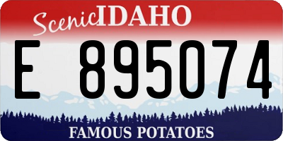 ID license plate E895074