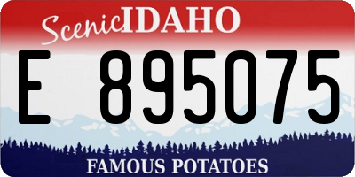 ID license plate E895075