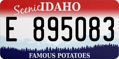 ID license plate E895083