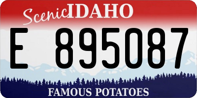 ID license plate E895087