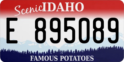 ID license plate E895089