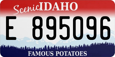 ID license plate E895096