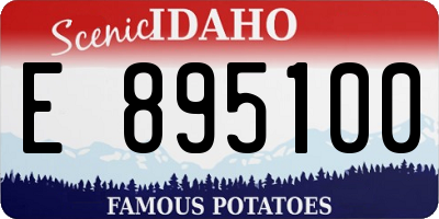 ID license plate E895100