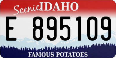 ID license plate E895109