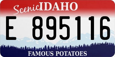ID license plate E895116