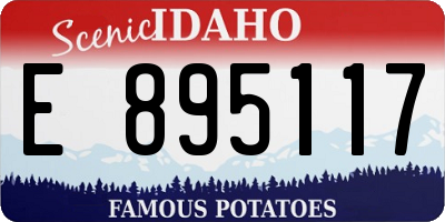 ID license plate E895117