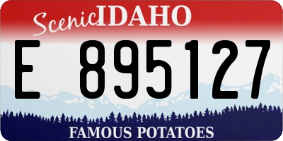 ID license plate E895127