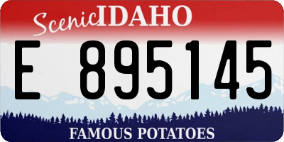 ID license plate E895145