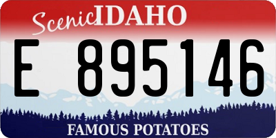 ID license plate E895146