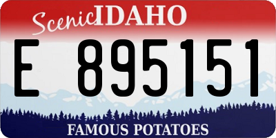 ID license plate E895151