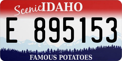 ID license plate E895153