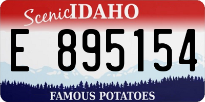 ID license plate E895154