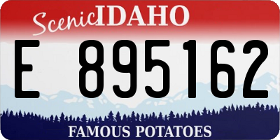 ID license plate E895162
