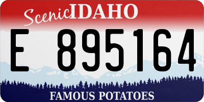 ID license plate E895164