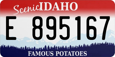 ID license plate E895167