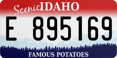 ID license plate E895169