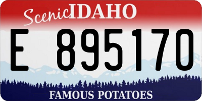 ID license plate E895170