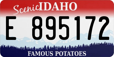 ID license plate E895172