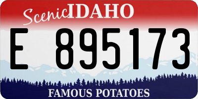 ID license plate E895173