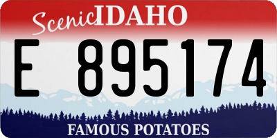 ID license plate E895174