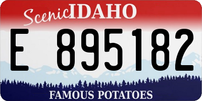ID license plate E895182