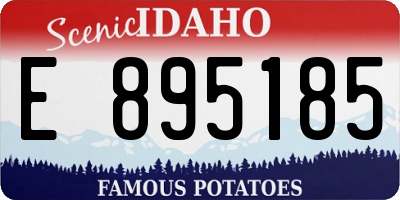 ID license plate E895185
