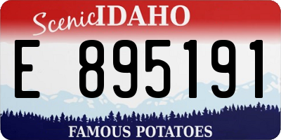 ID license plate E895191