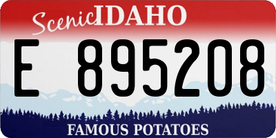 ID license plate E895208