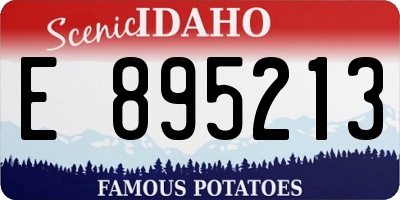 ID license plate E895213