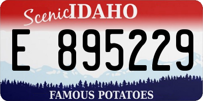 ID license plate E895229