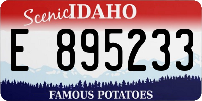 ID license plate E895233