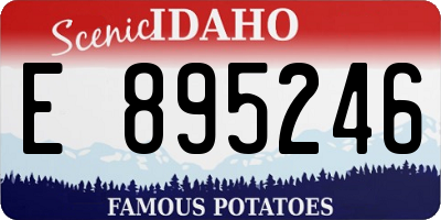 ID license plate E895246