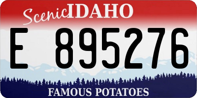 ID license plate E895276