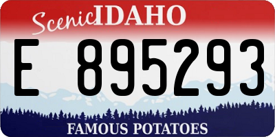 ID license plate E895293