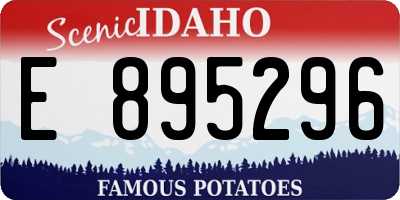 ID license plate E895296