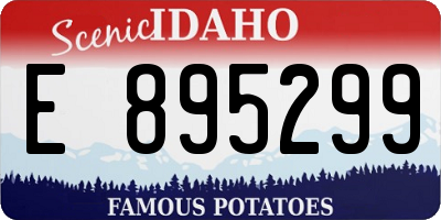 ID license plate E895299