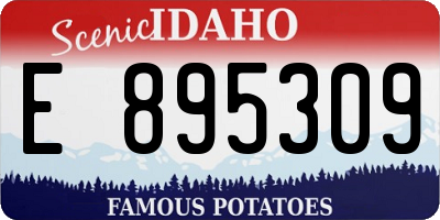 ID license plate E895309