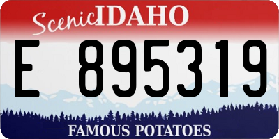 ID license plate E895319