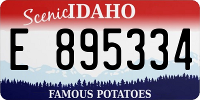 ID license plate E895334