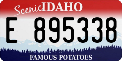 ID license plate E895338