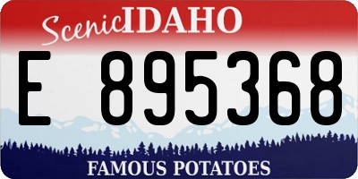 ID license plate E895368