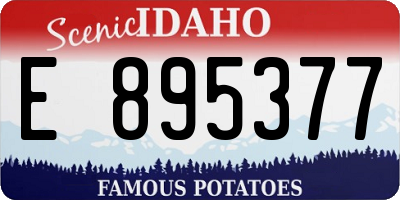 ID license plate E895377