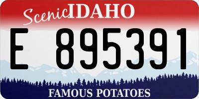 ID license plate E895391