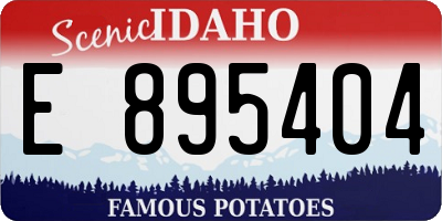 ID license plate E895404