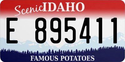ID license plate E895411